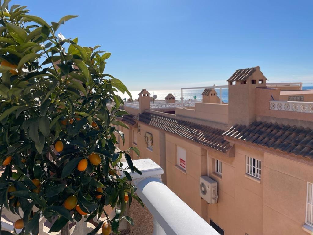 Apartament La Mata تورّيفيِخا المظهر الخارجي الصورة