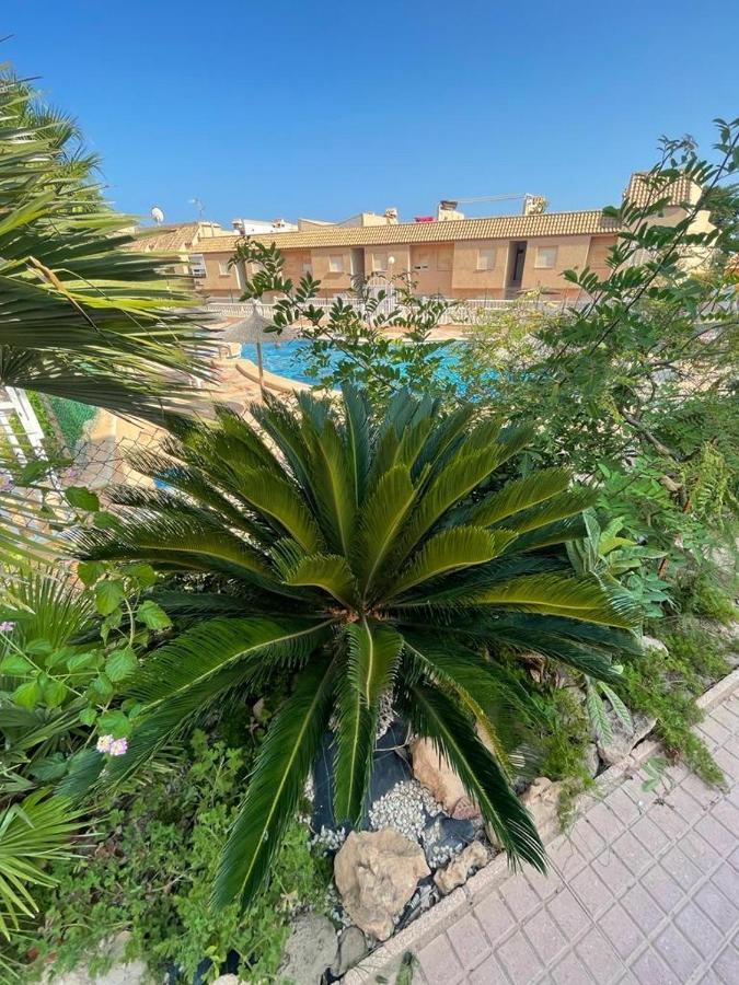 Apartament La Mata تورّيفيِخا المظهر الخارجي الصورة